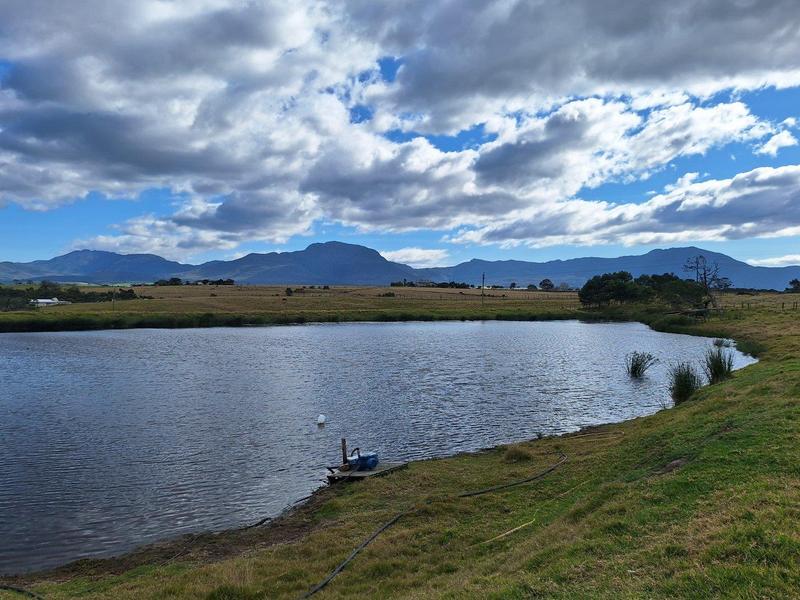 4 Bedroom Property for Sale in George Rural Western Cape